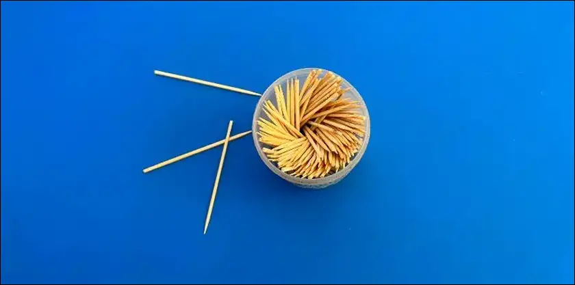 Use a toothpick to take out dust
